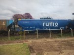 RUMO HTT-065579-1
